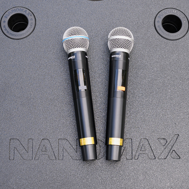 Loa kéo Nanomax A-600 12